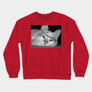 Kitty Crewneck Sweatshirt